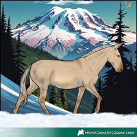 Horse Color:Chocolate Palomino Dun 