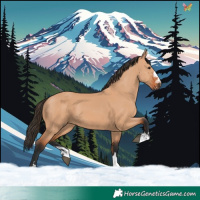 Horse Color:Bay Dun 