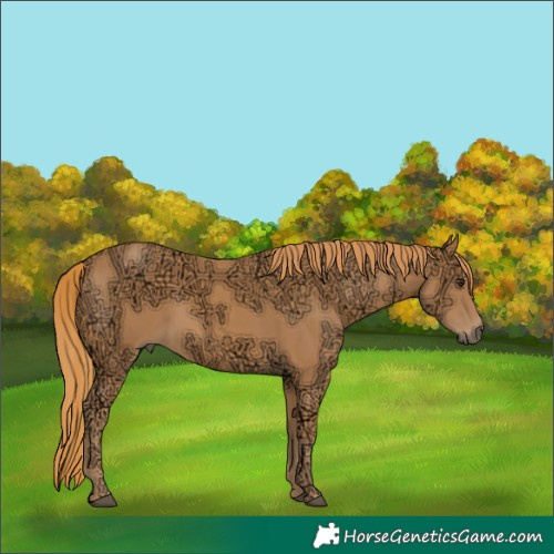 Horse Color:Chestnut Ice 