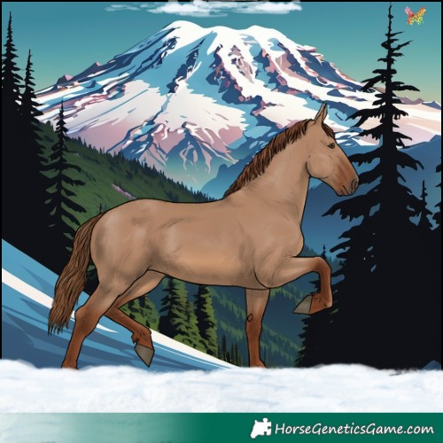 Horse Color:Red Dun