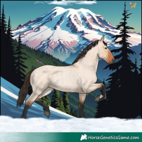 Horse Color:Bay Roan Dun 