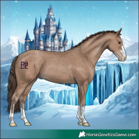 Horse Color:Classic Champagne 