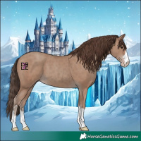 Horse Color:Classic Champagne 