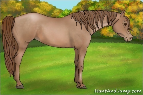 Horse Color:Brown Pearl 