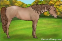 Horse Color:Brown Pearl 