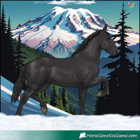 Horse Color:Smoky Black