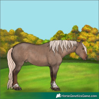 Horse Color:Liver Red Dun Mushroom Tobiano Rabicano 