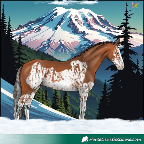 Horse Color:Bay Splash Frame and Bay Splash Frame