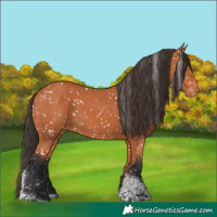 Horse Color:Bay Tobiano Snowflake Varnish