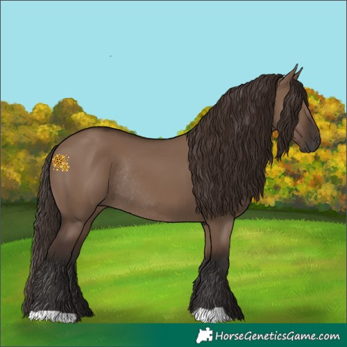 Horse Color:Liver Red Dun Rabicano 