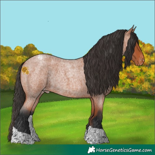 Horse Color:Bay Roan Tobiano Appaloosa Rabicano 