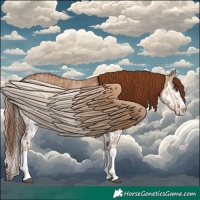 Horse Color:Red Dun Splash  and Red Dun Splash 