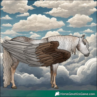 Horse Color:Gray Chocolate Palomino 