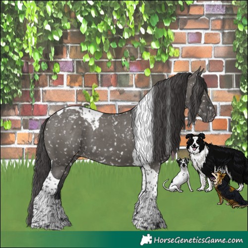 Horse Color:Grullo Tobiano Snowflake Varnish