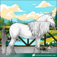 Horse Color:Liver Chestnut Tobiano Appaloosa 