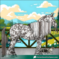 Horse Color:Liver Chestnut Tobiano Snowflake Varnish