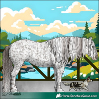 Horse Color:Liver Chestnut Tobiano Appaloosa