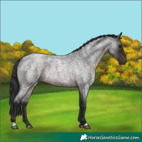 Horse Color:Brown Roan 