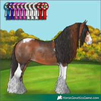 Horse Color:Chestnut Sabino and Bay Tobiano