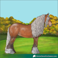 Horse Color:Silver Bay 