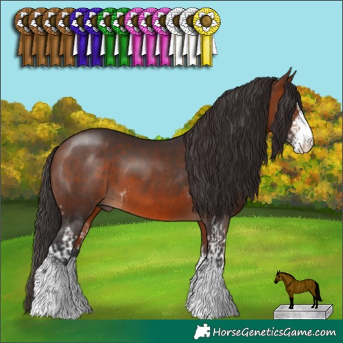 Horse Color:Bay Sabino  and Brown Sabino 