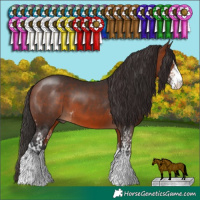 Horse Color:Bay Sabino and Brown Sabino