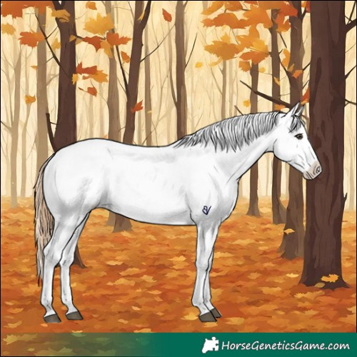 Horse Color:Chestnut Tobiano Snowflake Varnish