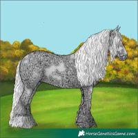 Horse Color:Chocolate Palomino Chinchilla Ice