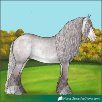 Horse Color:Chocolate Silver Sable Cream Champagne Chinchilla 