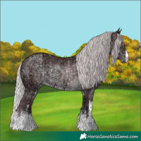 Horse Color:White Spotted Chocolate Silver Black Chinchilla Ice