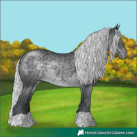 Horse Color:Silver Black Chinchilla Varnish