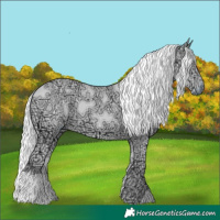 Horse Color:Liver Chestnut Chinchilla Ice 