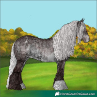 Horse Color:Chocolate Silver Brown Chinchilla Ice Appaloosa