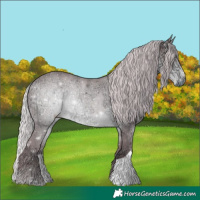Horse Color:Chocolate Silver Buckskin Chinchilla Ice 
