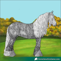 Horse Color:Chocolate Palomino Chinchilla Ice 