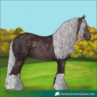 Horse Color:Chocolate Silver Black Chinchilla Ice