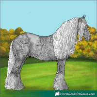 Horse Color:Silver Smoky Creme Chinchilla Ice Rabicano
