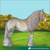 Horse Color:Silver Bay Ice Onyx Varnish