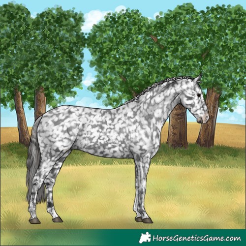 Horse Color:Black Tobiano Snowflake Varnish