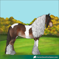 Horse Color:Liver Chestnut Tobiano