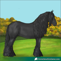 Horse Color:Black Rabicano 
