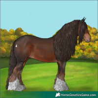 Horse Color:Liver Chestnut Tobiano 