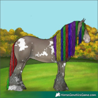 Horse Color:Painted White Spotted Sable Champagne