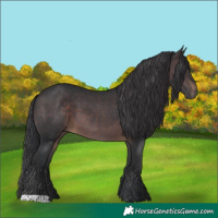 Horse Color:Brown 