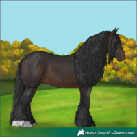 Horse Color:Brown 