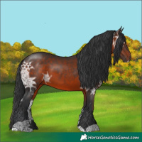 Horse Color:Brown Ice 