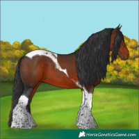 Horse Color:Brown Tobiano