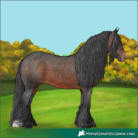 Horse Color:Brown Sabino Varnish 