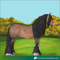 Horse Color:Bay Dun Sabino 