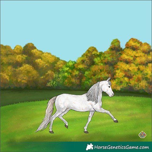 Horse Color:Chestnut Tobiano Snowflake Varnish